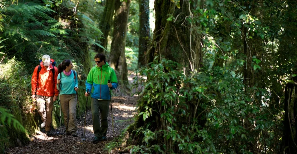 Visitar un Parque Nacional en Chile